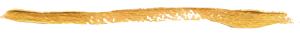 subrayado2